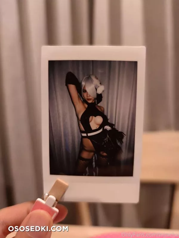 Minichu - 2B - Photo 28