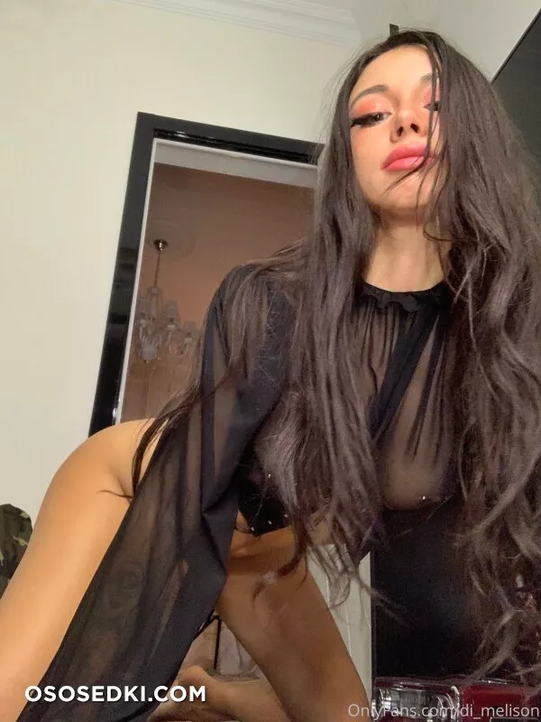 Diana Melison - Photo 7