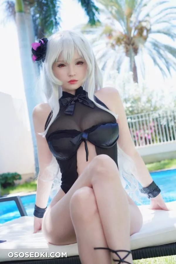 Hidori Rose - Graf Zeppelin (Azur Lane) - Photo 24