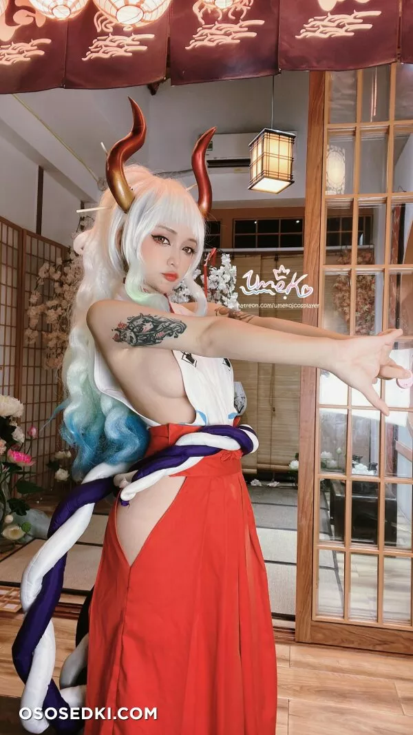 Umeko J - Yamato (One Piece) - Photo 5