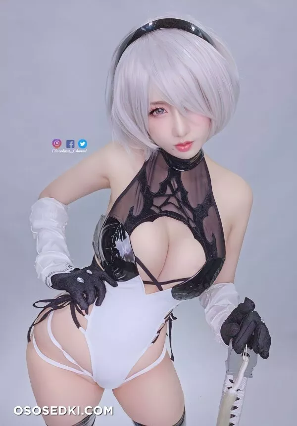 Chocokasa - 2b - Nier Automata - Photo 64