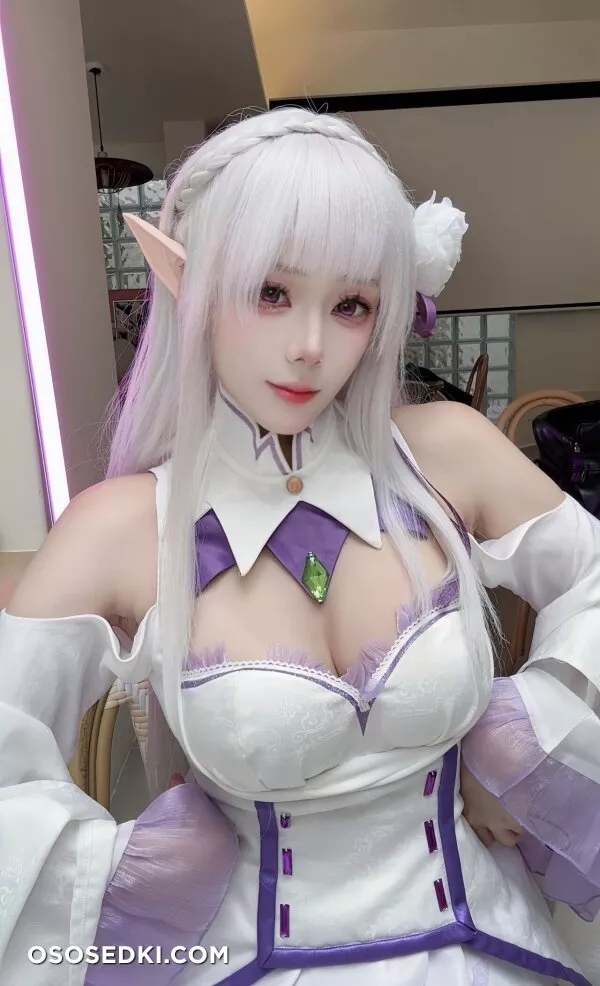 九言 - Emilia - Re Zero Kara Hajimeru Isekai Seikatsu - Photo 42