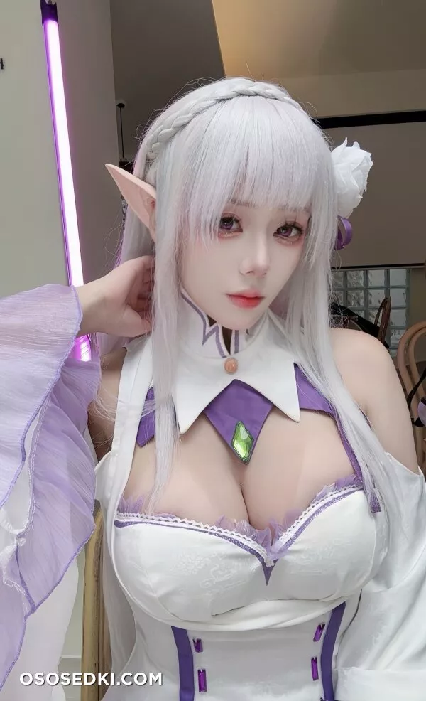 九言 - Emilia - Re Zero Kara Hajimeru Isekai Seikatsu - Photo 44