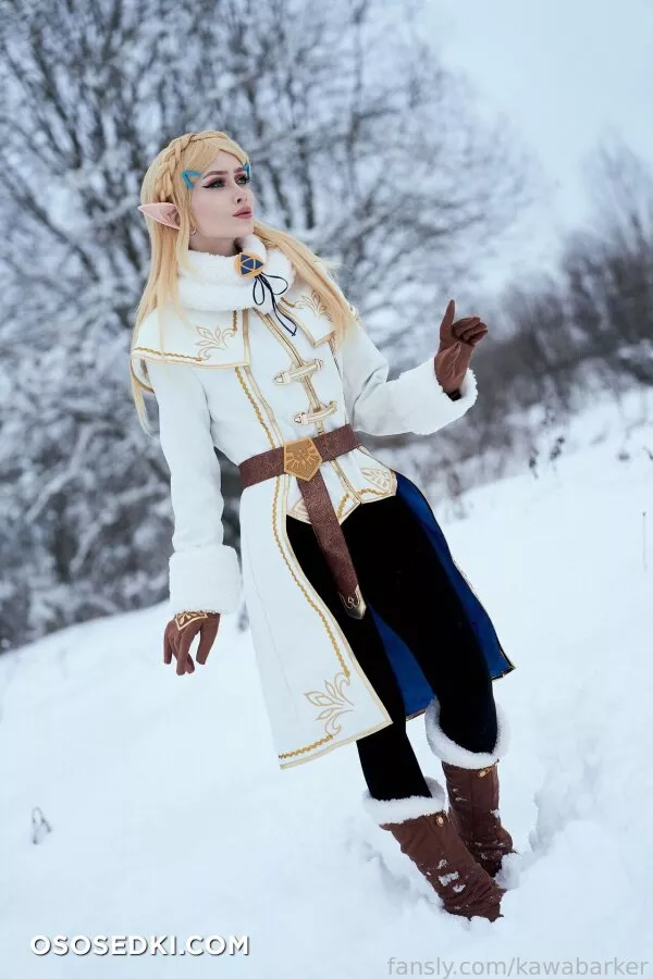 Zirael Rem - Princess Zelda - The Legend Of Zelda - Photo 1