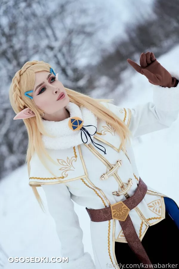 Zirael Rem - Princess Zelda - The Legend Of Zelda - Photo 12