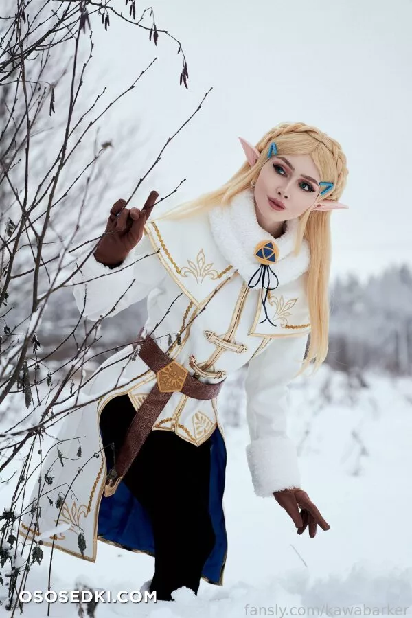 Zirael Rem - Princess Zelda - The Legend Of Zelda - Photo 23
