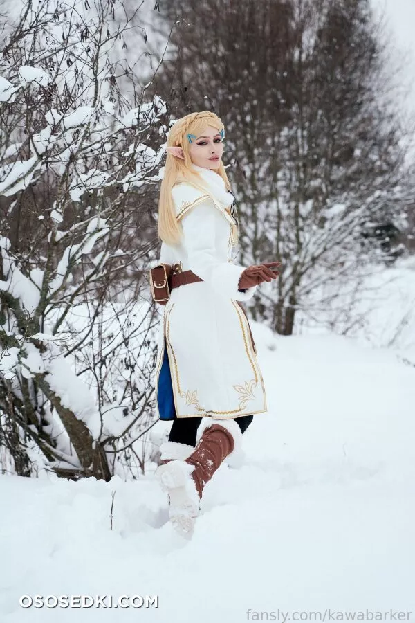 Zirael Rem - Princess Zelda - The Legend Of Zelda - Photo 25