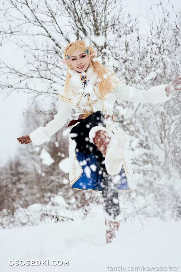 Zirael Rem - Princess Zelda - The Legend Of Zelda - Photo 26