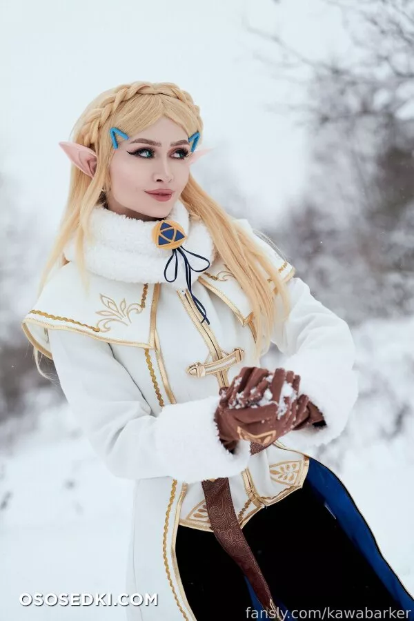 Zirael Rem - Princess Zelda - The Legend Of Zelda - Photo 27