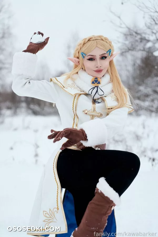 Zirael Rem - Princess Zelda - The Legend Of Zelda - Photo 28