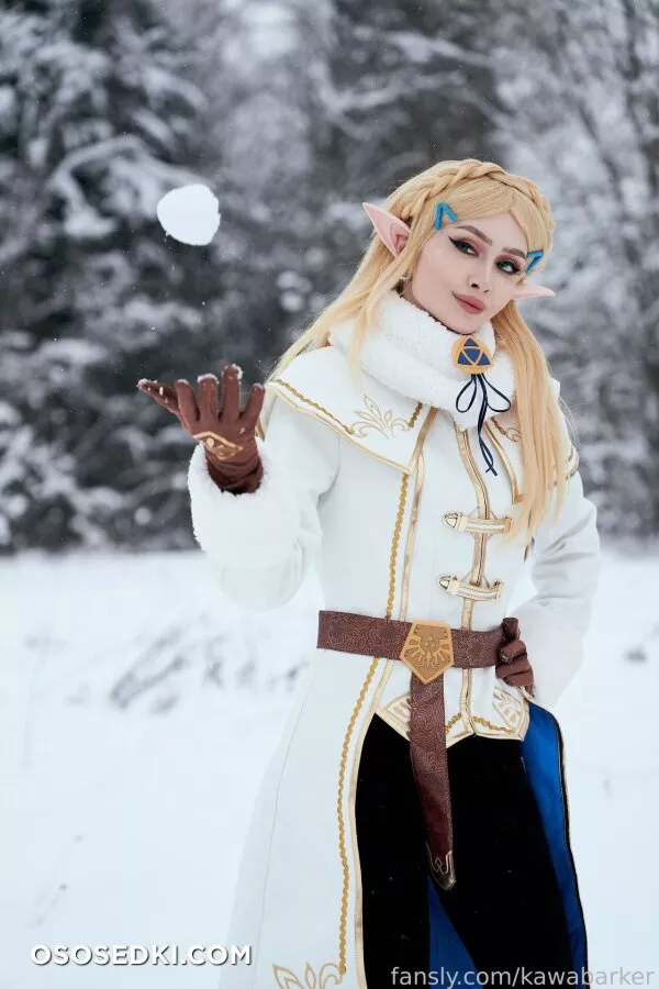 Zirael Rem - Princess Zelda - The Legend Of Zelda - Photo 29