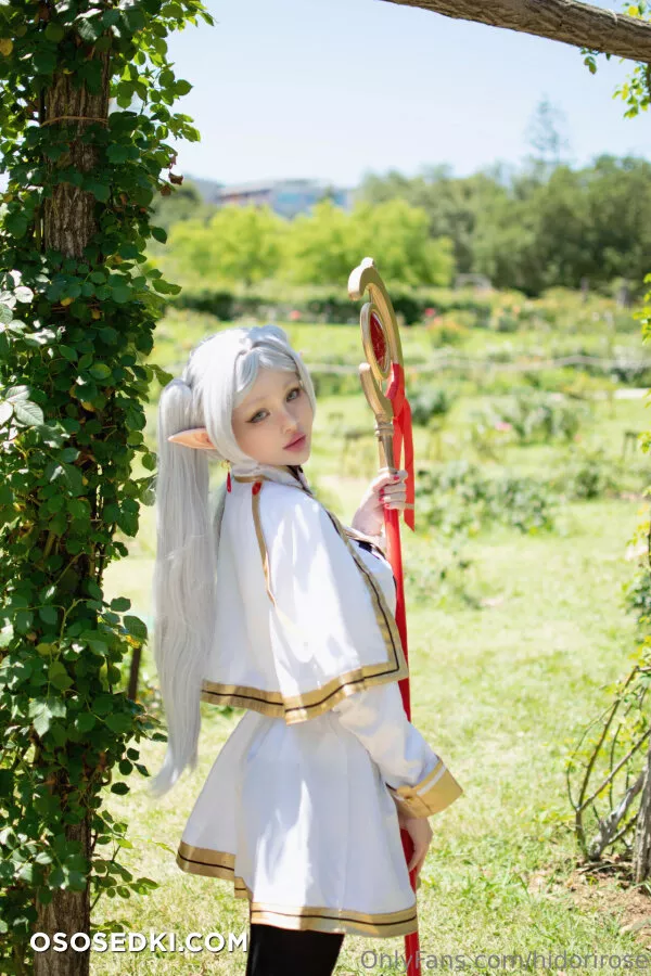 Hidori Rose - Frieren - Sousou No Frieren | Frieren Beyond Journeys End - Photo 23