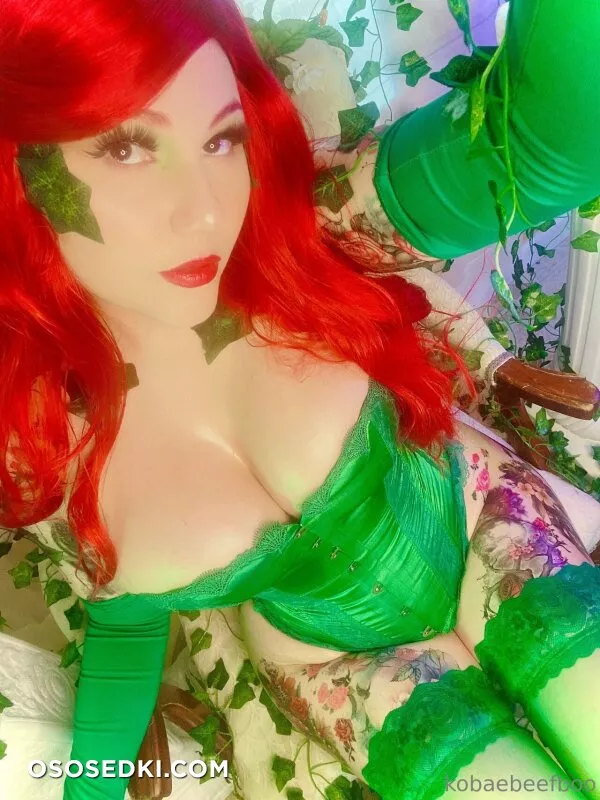 Kobaebeefboo - Poison Ivy - Batman - Photo 8