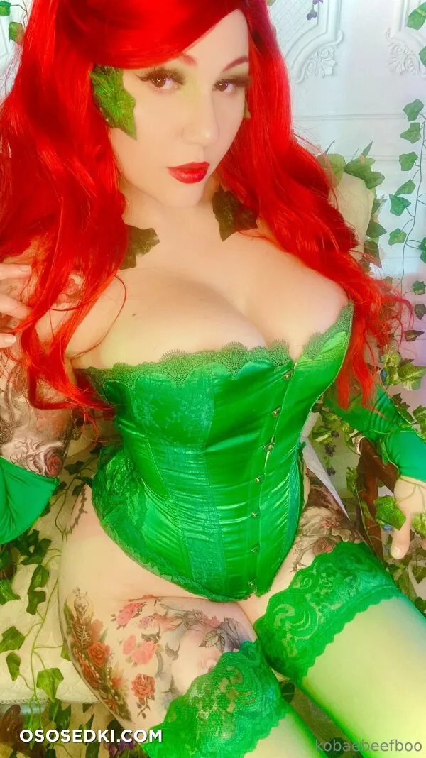 Kobaebeefboo - Poison Ivy - Batman - Photo 11