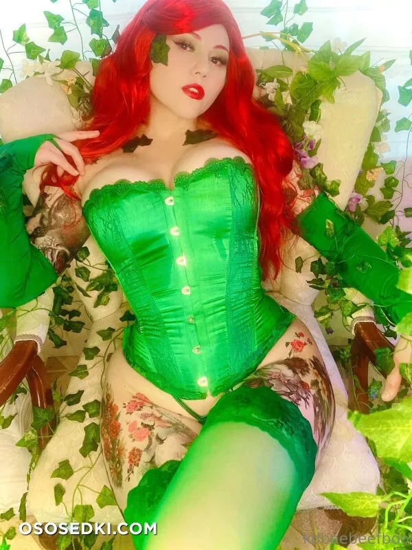 Kobaebeefboo - Poison Ivy - Batman - Photo 12