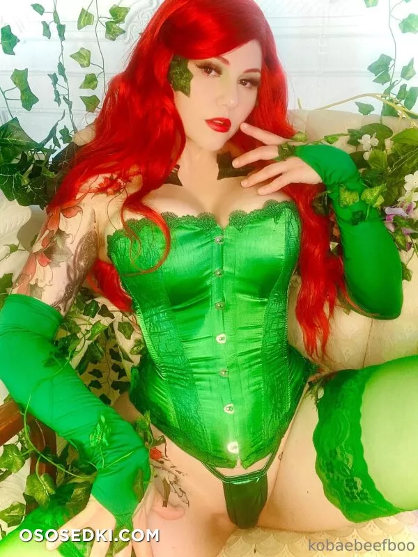 Kobaebeefboo - Poison Ivy - Batman - Photo 13
