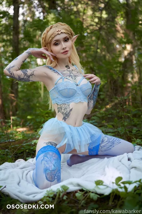 Zirael Rem - Princess Zelda - The Legend Of Zelda - Photo 9