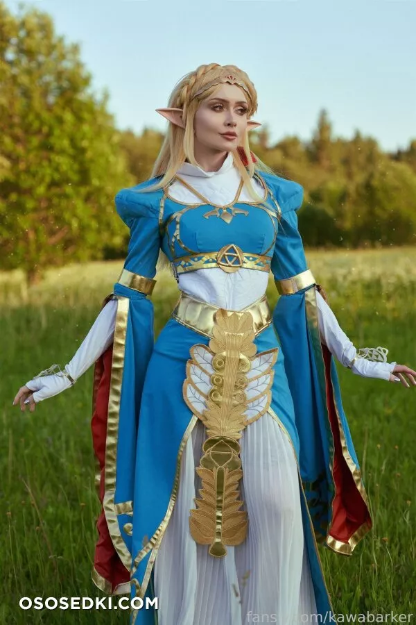 Zirael Rem - Princess Zelda - The Legend Of Zelda - Photo 14