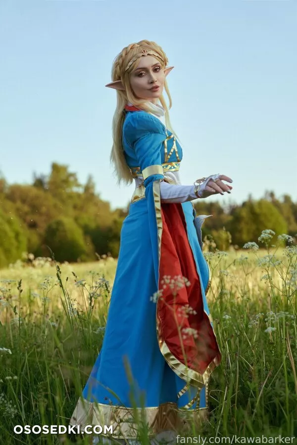 Zirael Rem - Princess Zelda - The Legend Of Zelda - Photo 15