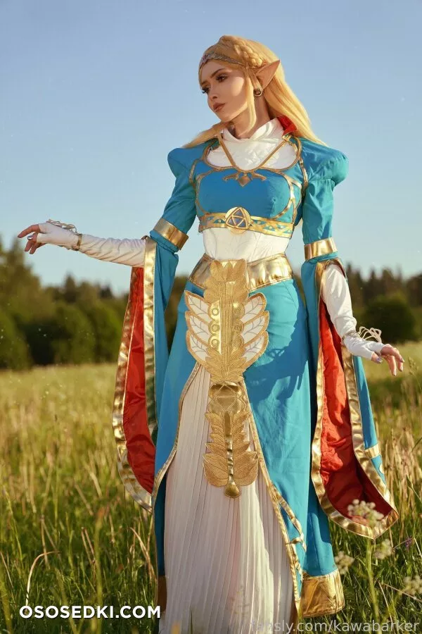 Zirael Rem - Princess Zelda - The Legend Of Zelda - Photo 16