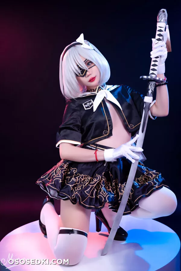 Miinmeow - 2b - Nier Automata - Photo 56