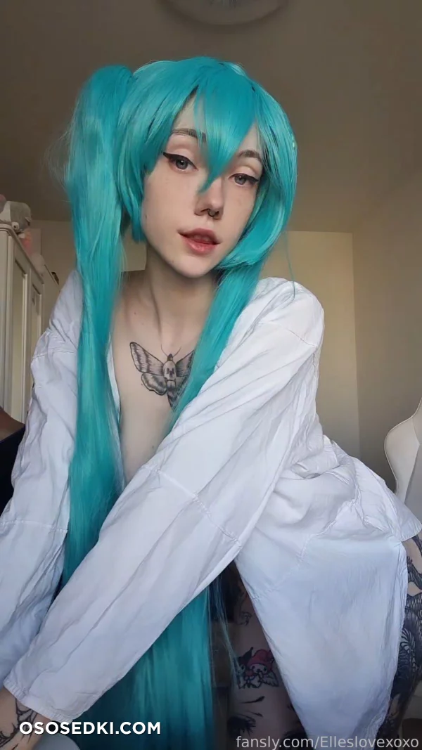 Elles - Miku Hatsune - Vocaloid - Photo 4