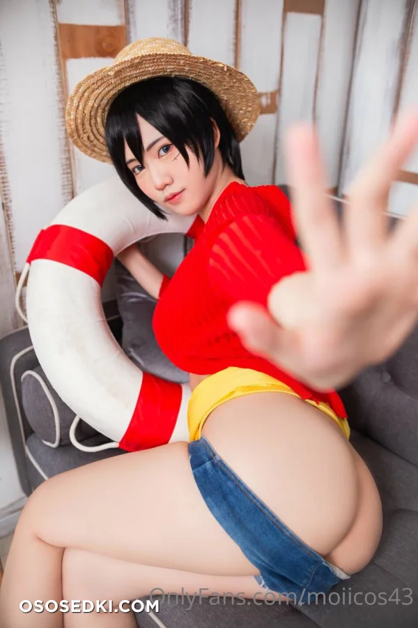 Moiicos - Monkey D. Luffy - One Piece - Photo 3