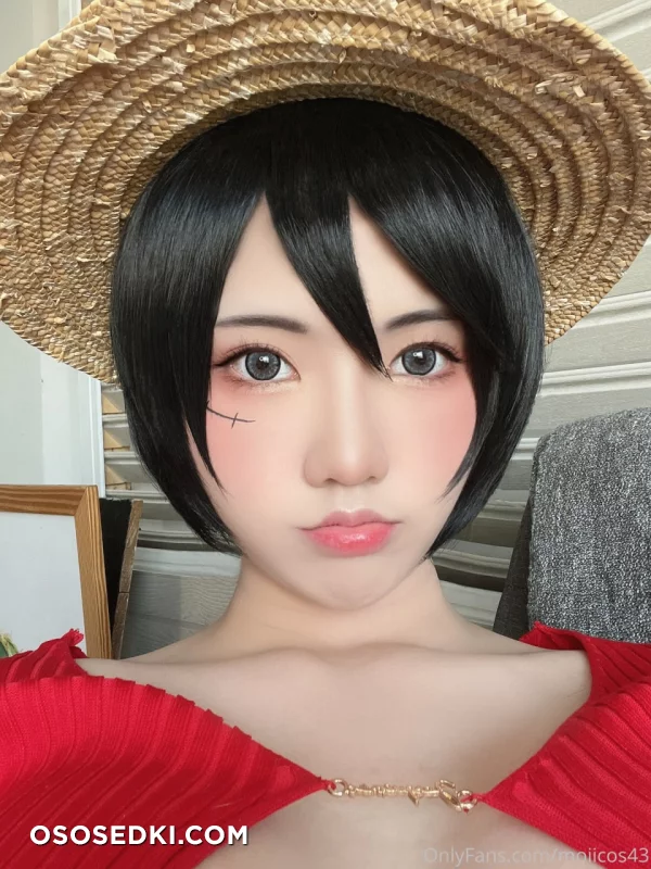 Moiicos - Monkey D. Luffy - One Piece - Photo 8