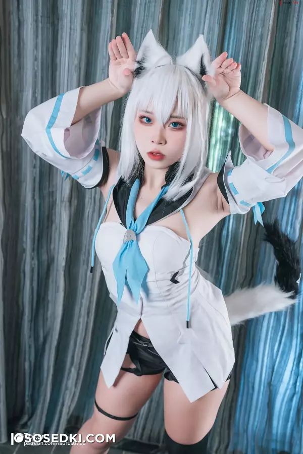 Patreon - Tokar 浵卡 (laurus0711) cosplay Shirakami Fubuki - Hololive - Photo 12