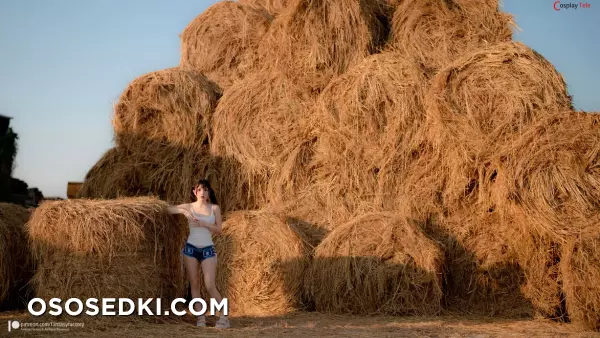 Fantasy Factory - 小丁 (Xiao Ding) - Hay Bales - Photo 12