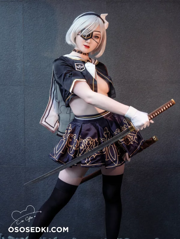 Cia Cyllia - 2b - Nier Automata - Photo 18