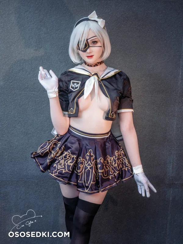 Cia Cyllia - 2b - Nier Automata - Photo 30