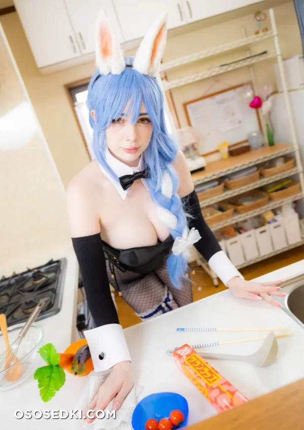 Atelier Roro - Pekoras Mother - Hololive - Photo 21