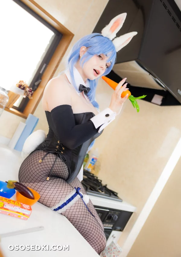 Atelier Roro - Pekoras Mother - Hololive - Photo 26