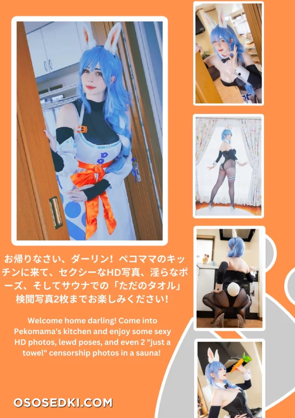 Atelier Roro - Pekoras Mother - Hololive - Photo 49