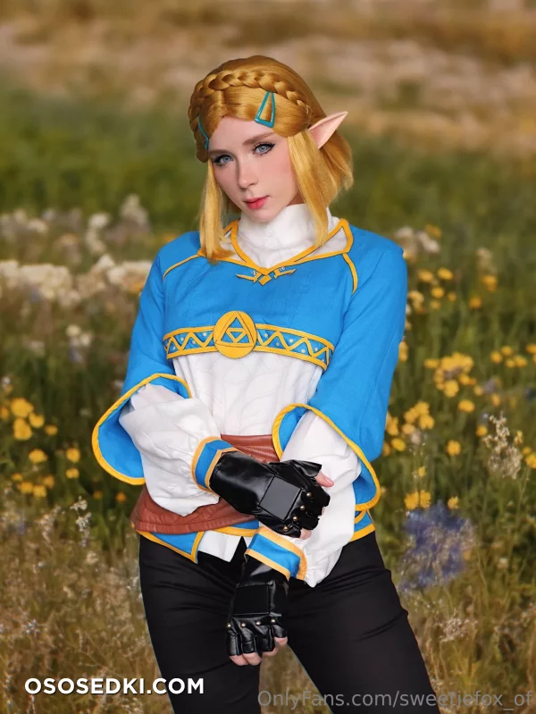 Sweetie Fox - Princess Zelda - The Legend Of Zelda - Photo 1