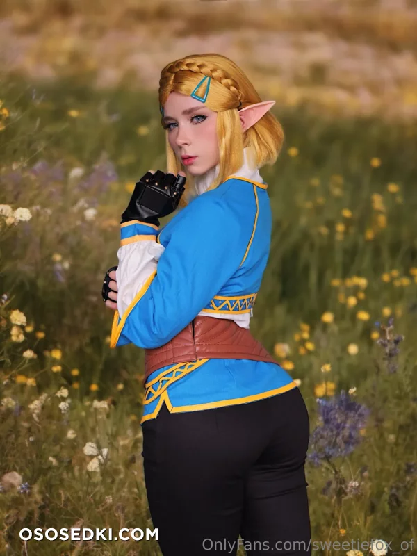 Sweetie Fox - Princess Zelda - The Legend Of Zelda - Photo 12