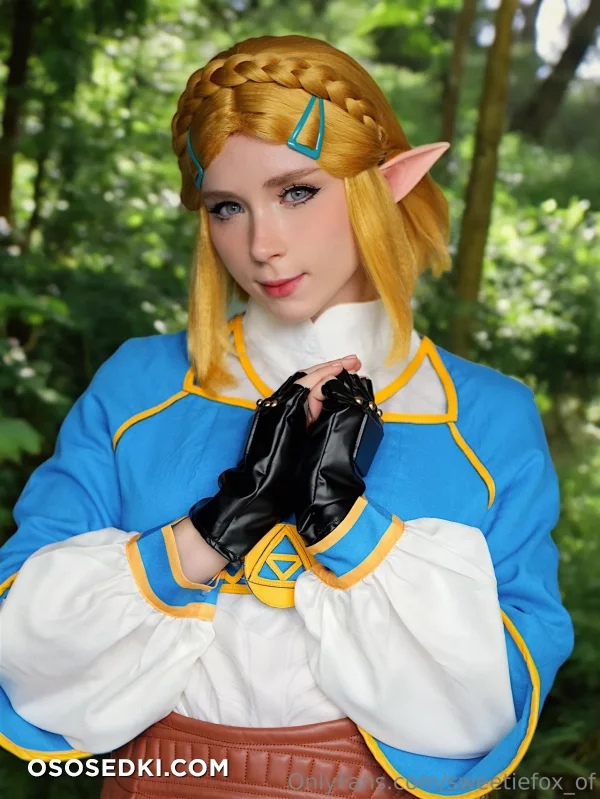 Sweetie Fox - Princess Zelda - The Legend Of Zelda - Photo 22