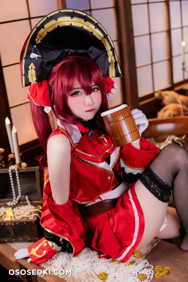 Sally Dorasnow - Houshou Marine - Hololive - Photo 3