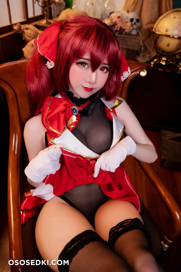 Sally Dorasnow - Houshou Marine - Hololive - Photo 9