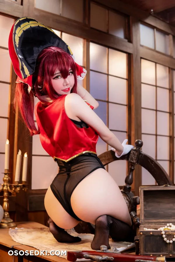 Sally Dorasnow - Houshou Marine - Hololive - Photo 10