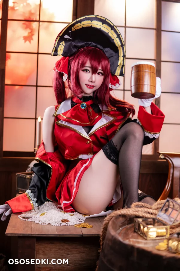 Sally Dorasnow - Houshou Marine - Hololive - Photo 14