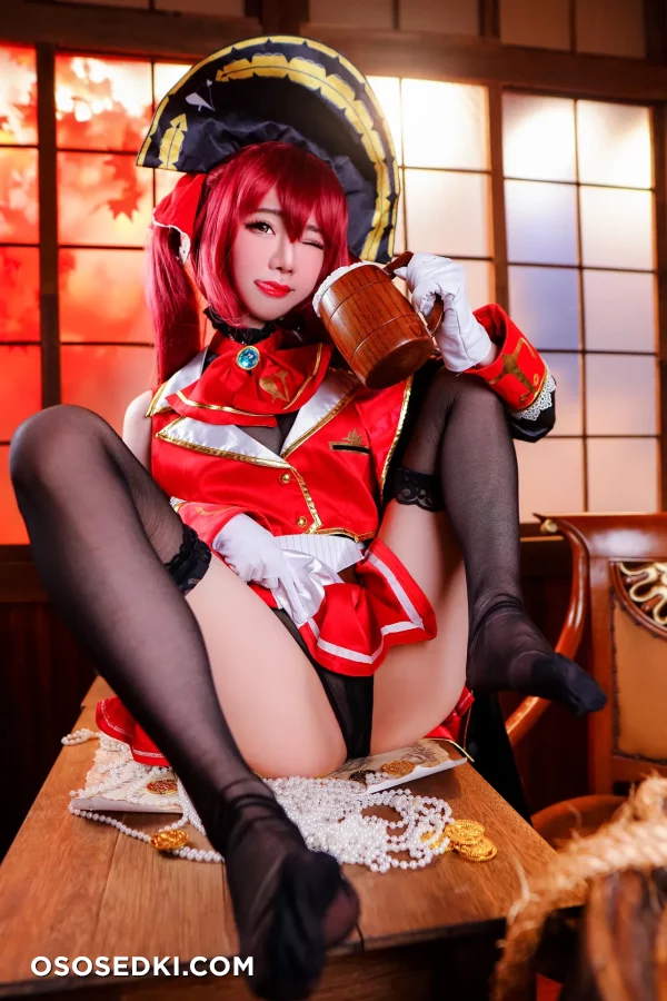 Sally Dorasnow - Houshou Marine - Hololive - Photo 21