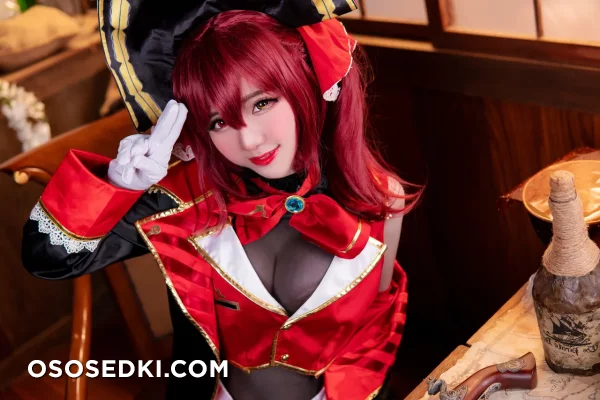 Sally Dorasnow - Houshou Marine - Hololive - Photo 23
