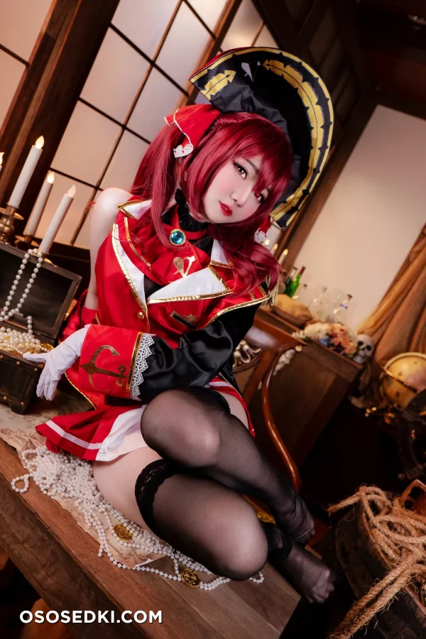 Sally Dorasnow - Houshou Marine - Hololive - Photo 34
