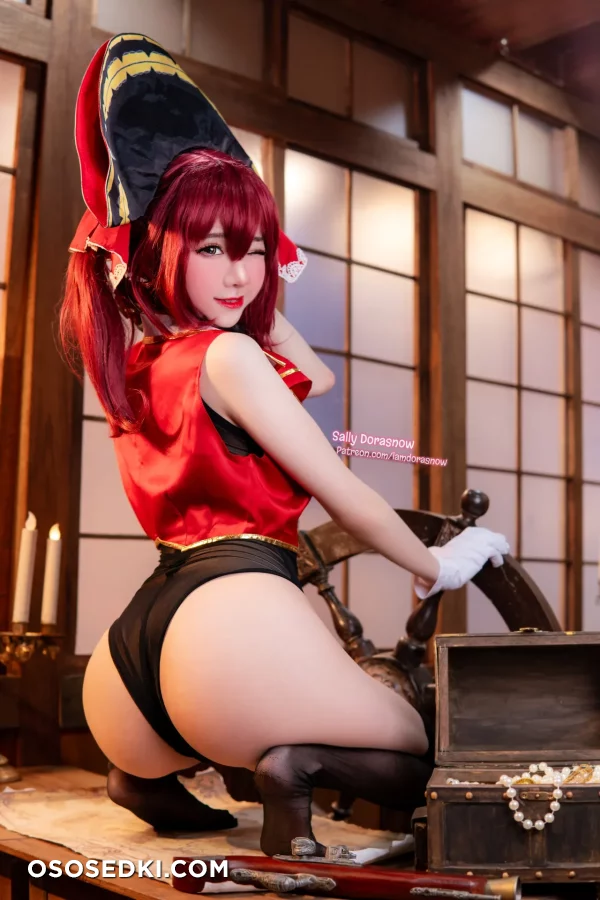 Sally Dorasnow - Houshou Marine - Hololive - Photo 51