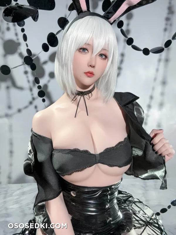 Hoshilily - 2b - Nier Automata - Photo 25