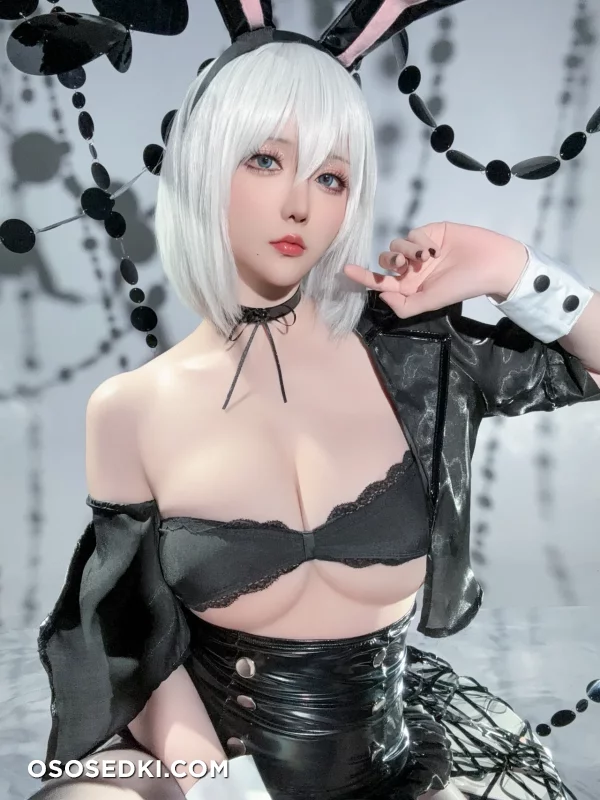 Hoshilily - 2b - Nier Automata - Photo 26