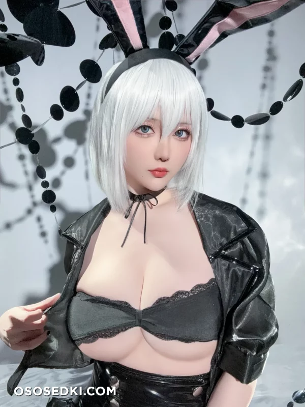 Hoshilily - 2b - Nier Automata - Photo 27