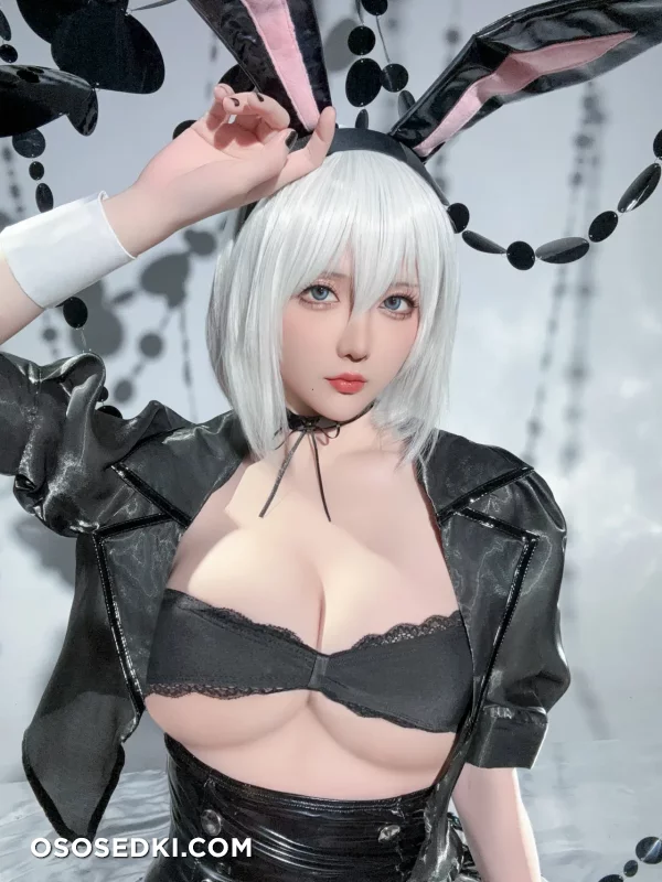 Hoshilily - 2b - Nier Automata - Photo 28